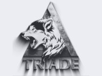 triad studio